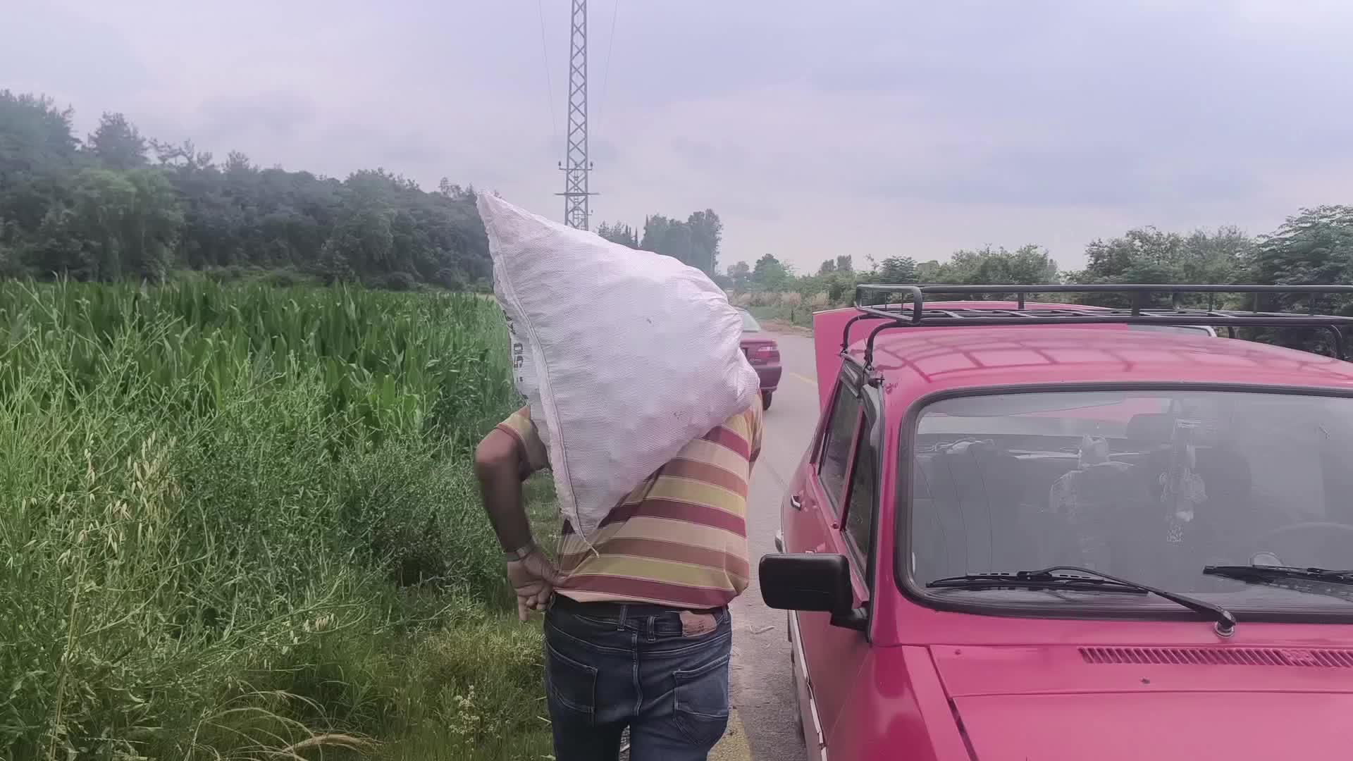 Osmaniye'de ürettiği soğanı satamayan çiftçi, tarlasını vatandaşlara açtı