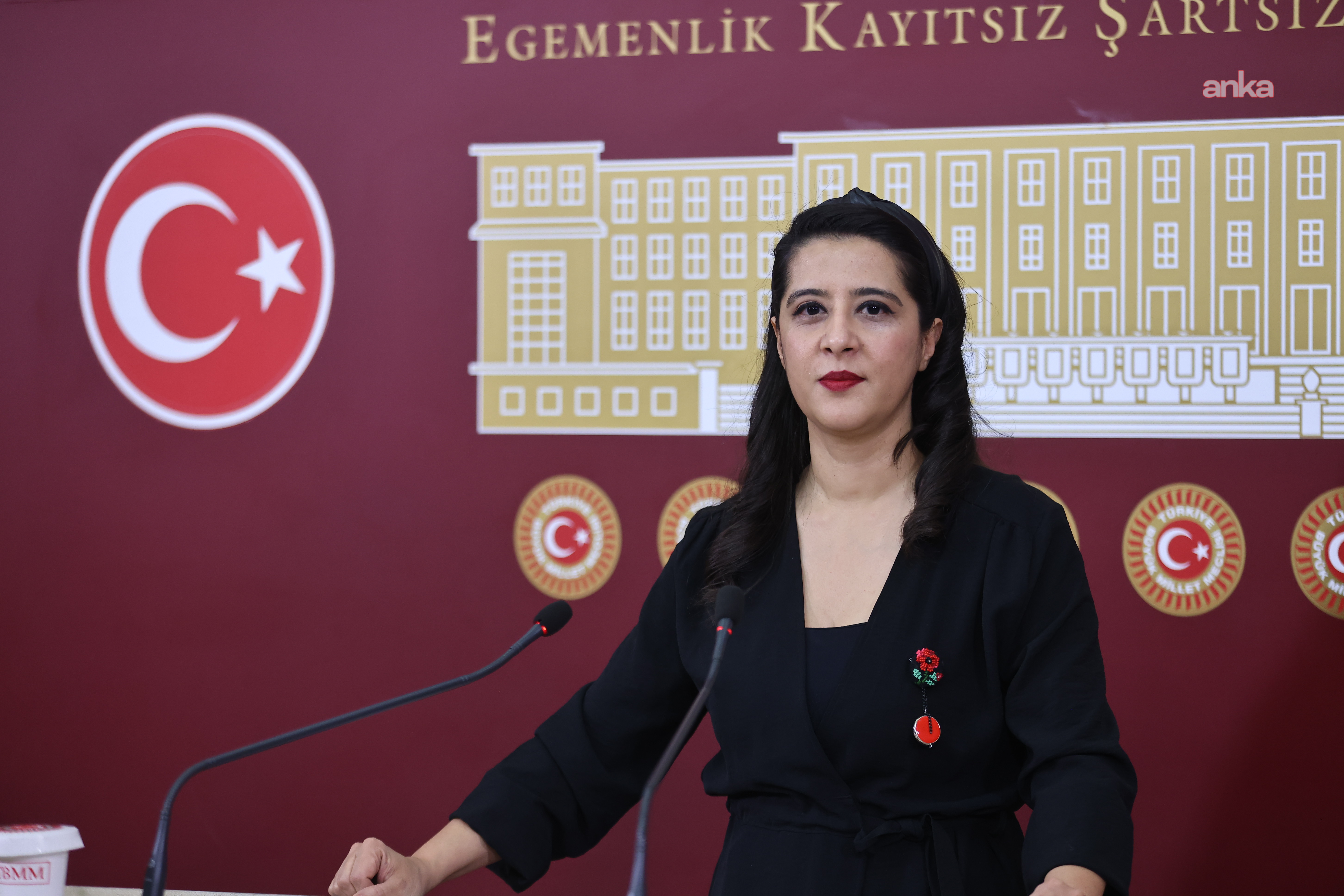 EMEP'li Karaca, Madran Dağı yangınını TBMM gündemine getirdi