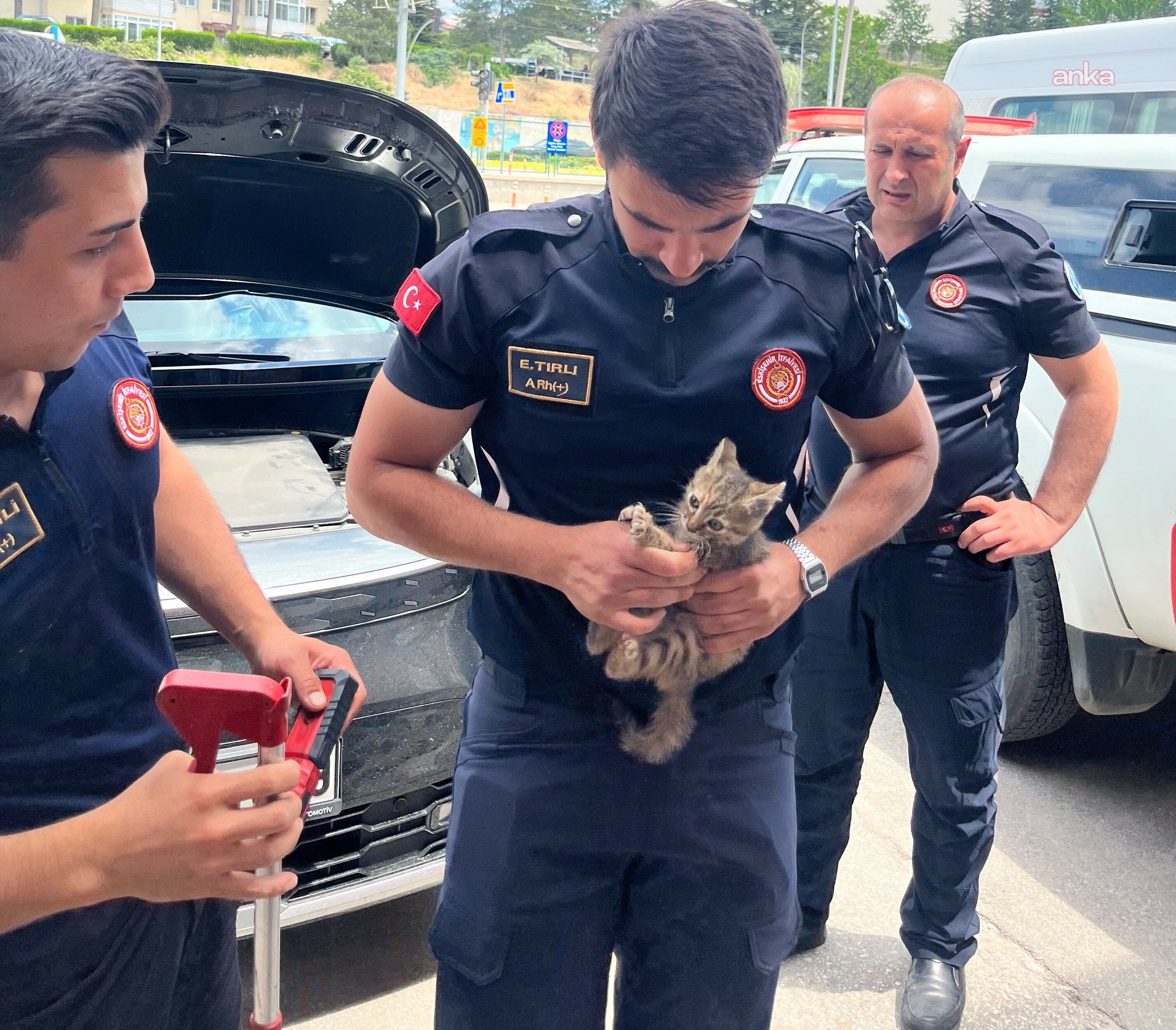Eskişehir Büyükşehir Belediyesi İtfaiyesi, araç motorunda sıkışan kediyi kurtardı