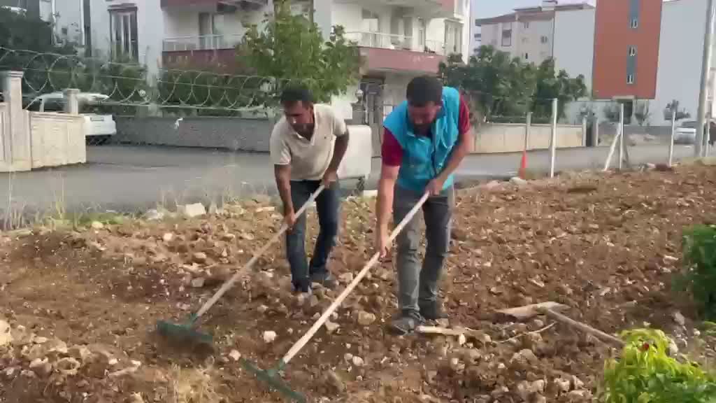 Adıyaman Belediyesi Sebze Üretim Merkezi’nde sonbahar ekimi başladı