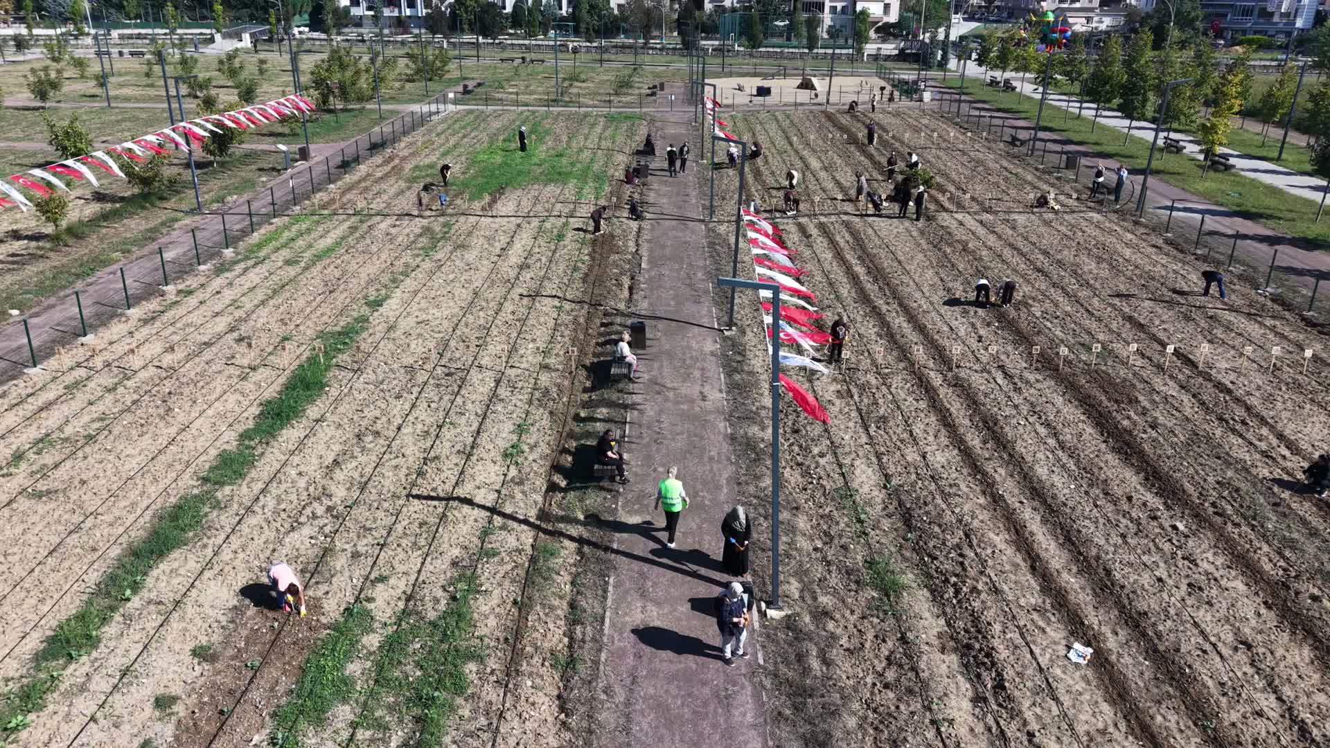 Bornova’nın üretim modeli Türkiye’ye yayılıyor