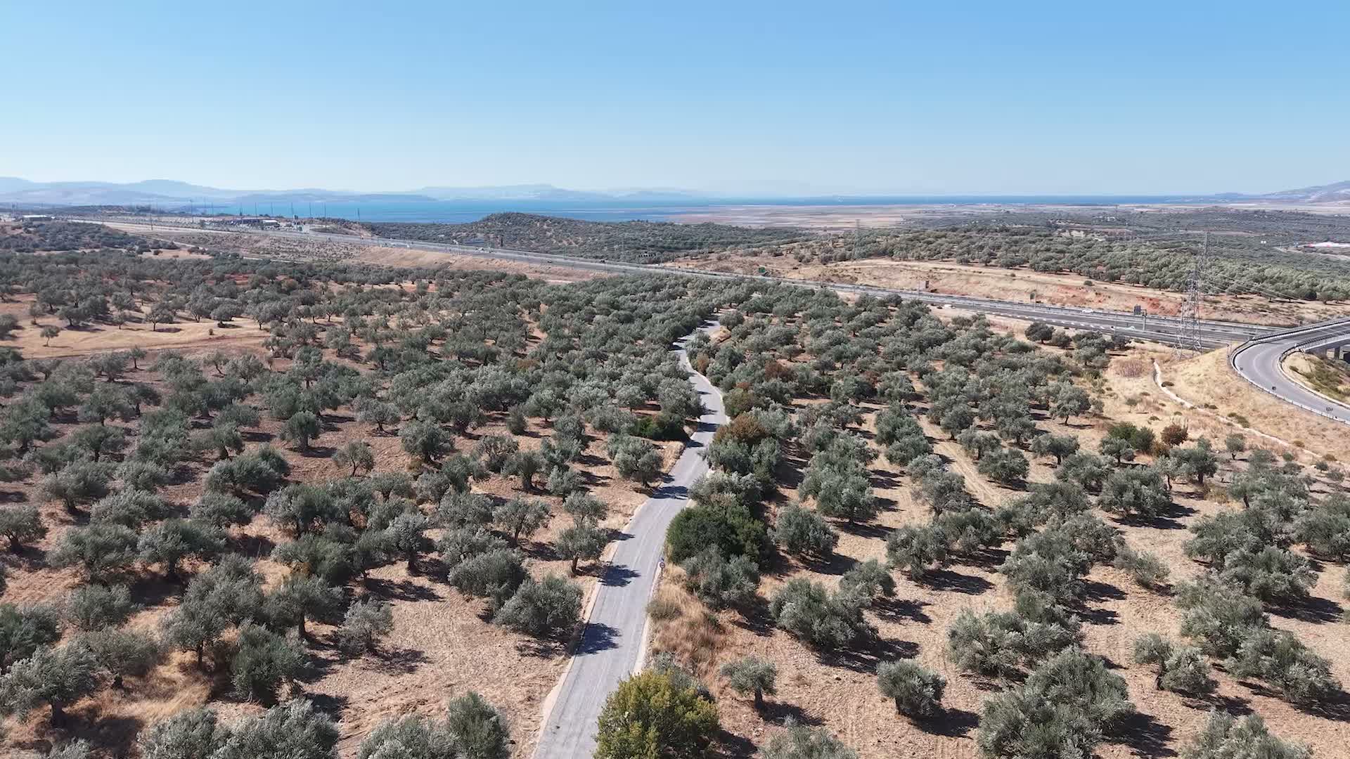 İzmir’in kuzeyinde yol atağı: 16 kilometrelik turizm yolunda sona doğru