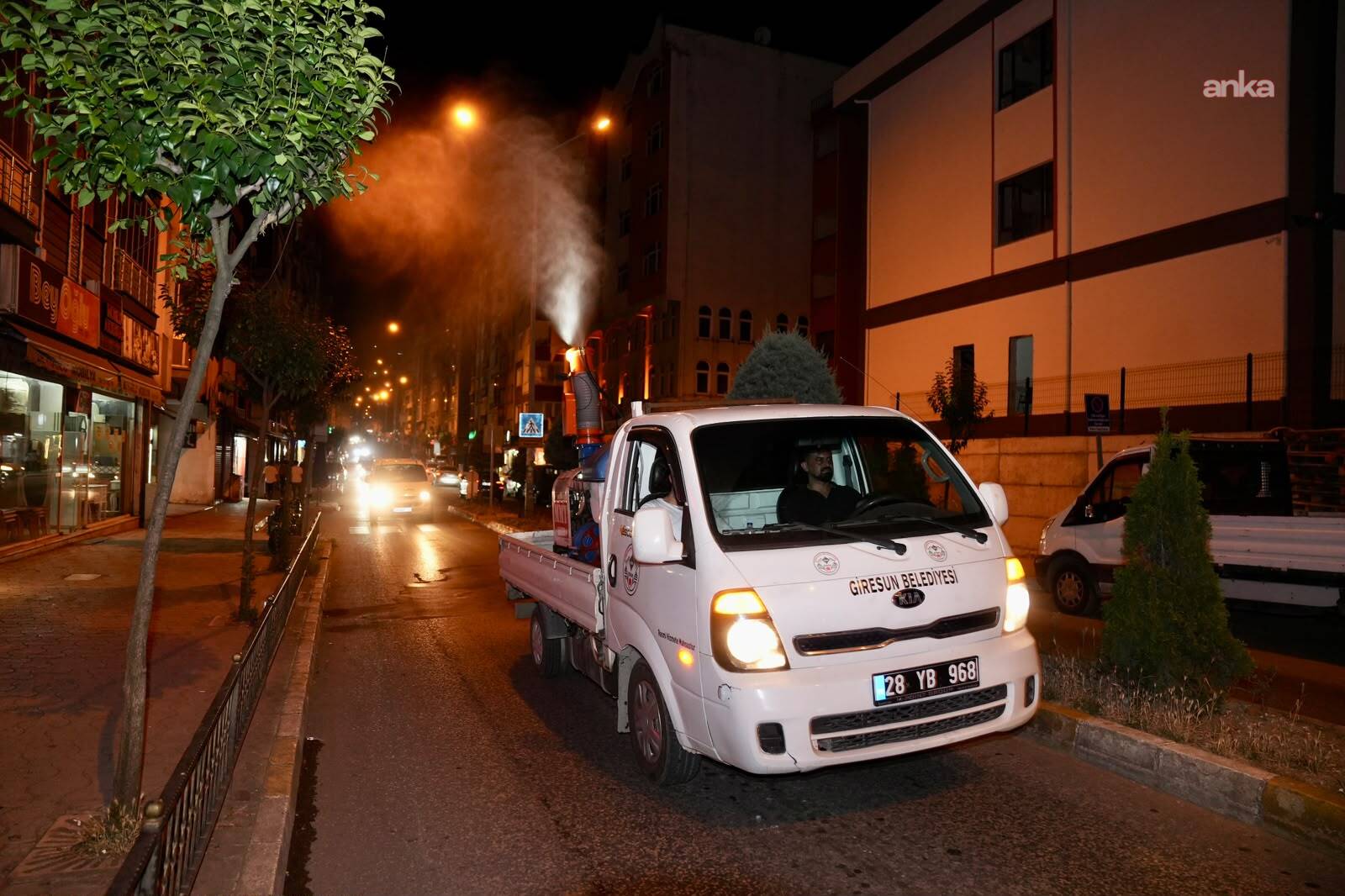 Giresun genelinde ilaçlama çalışmaları sürüyor