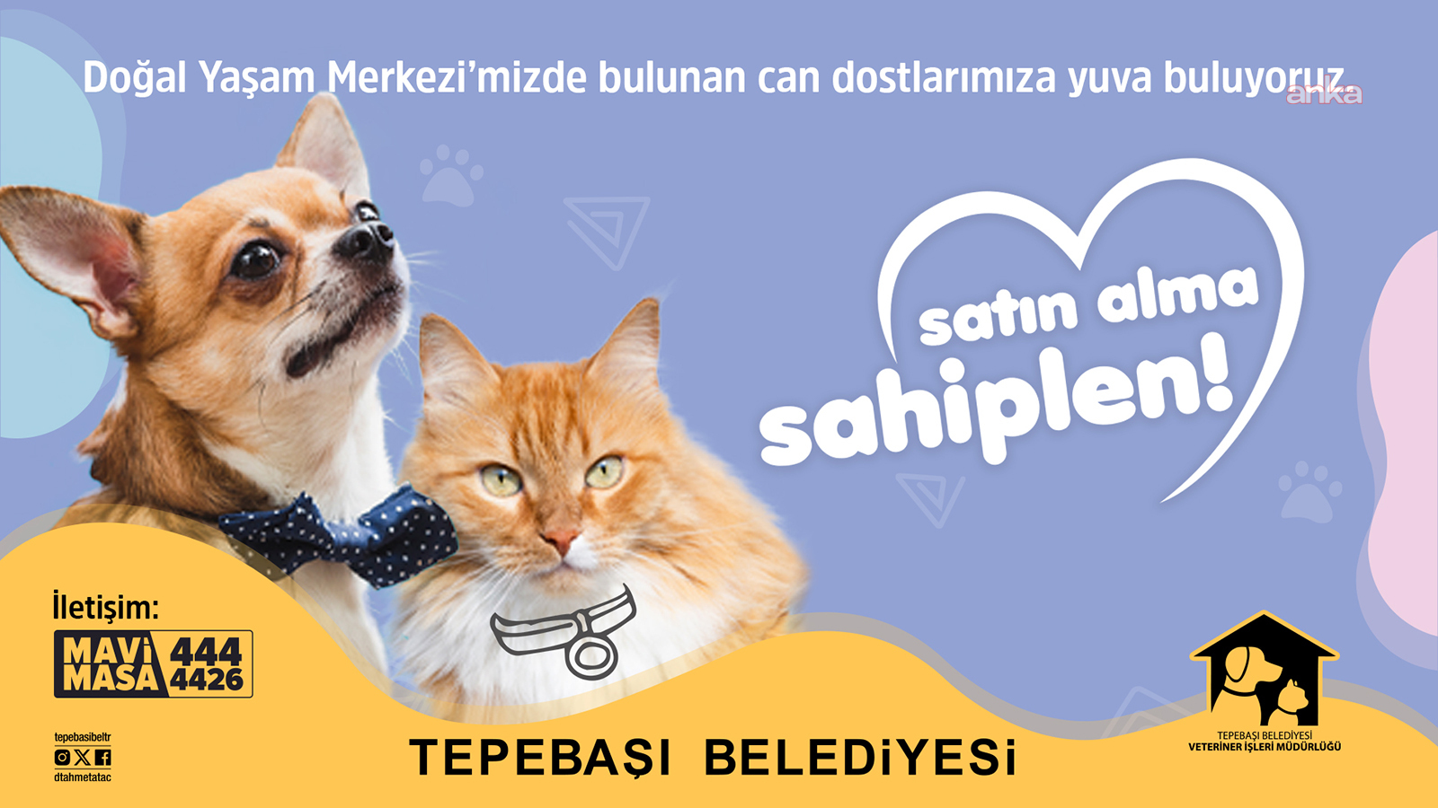 Tepebaşı Belediyesi’nden can dostlara umut olan çağrı