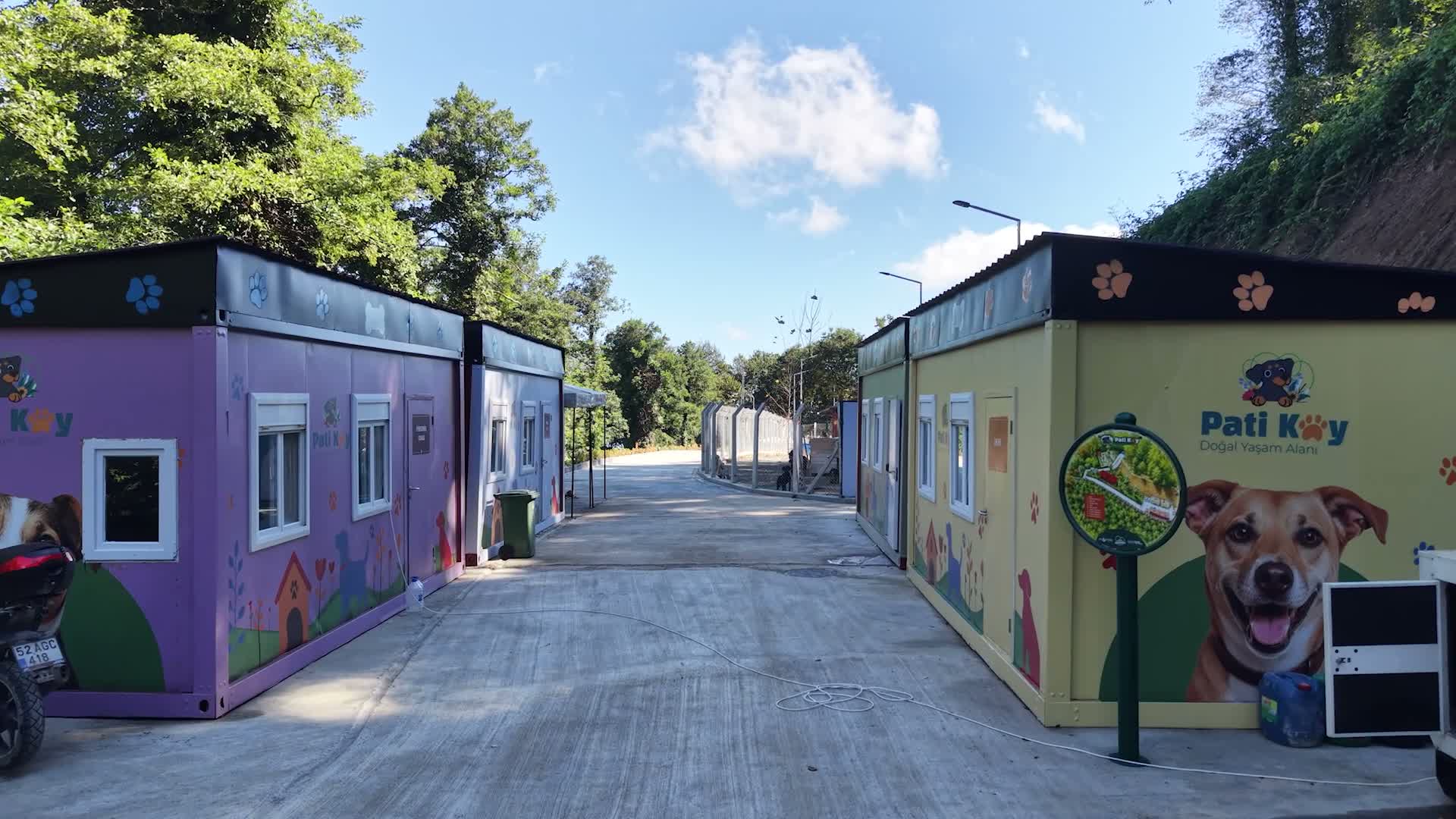 Altınordu Patiköy, can dostları misafir etmeye başladı