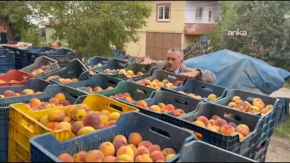Kilo başına 13 lira masraf yapıyorum, 10 liraya satamıyorum