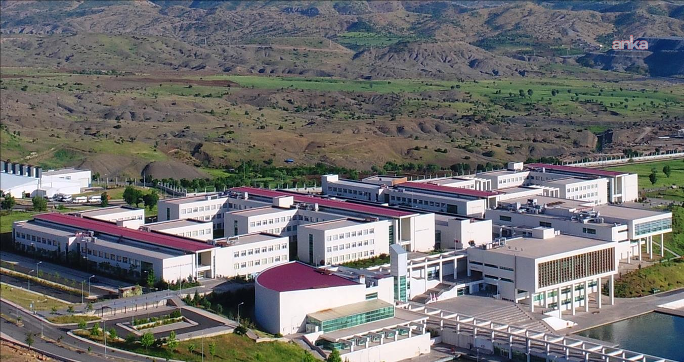 Sayıştay incelemesi: Şırnak Üniversitesi kadrolarında "sanayi domatesinde su stresi" kriteri