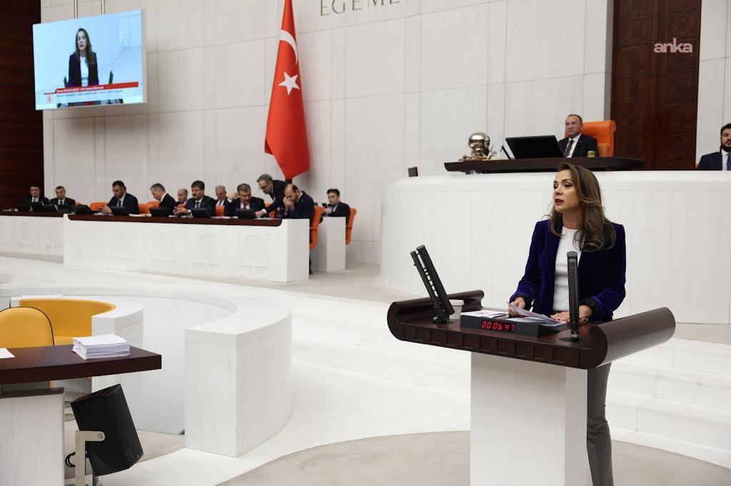 Gamze Akkuş İlgezdi: “MESEM ucuz emek merkezine dönüştü”