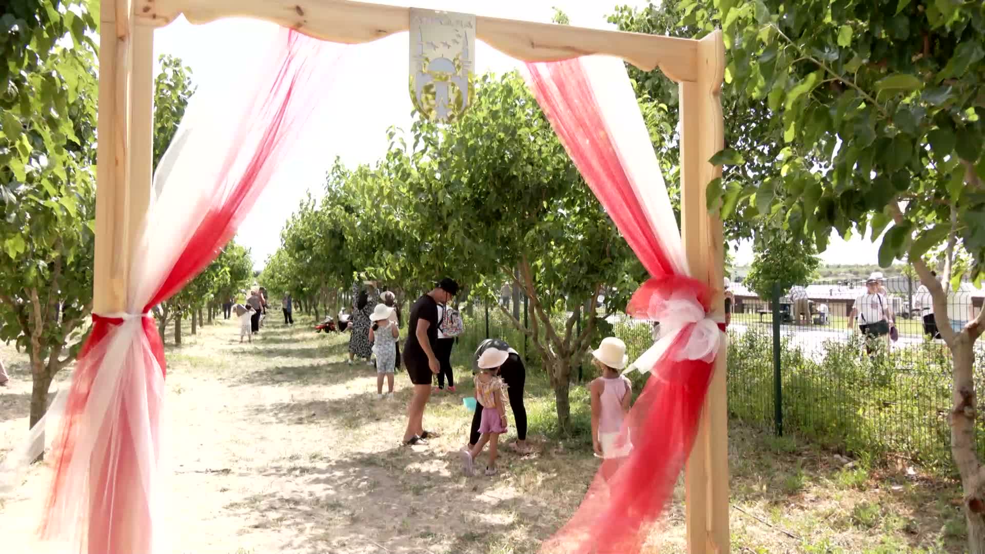 Başkentliler, Ata Çiftliği’nde hasat yaptı