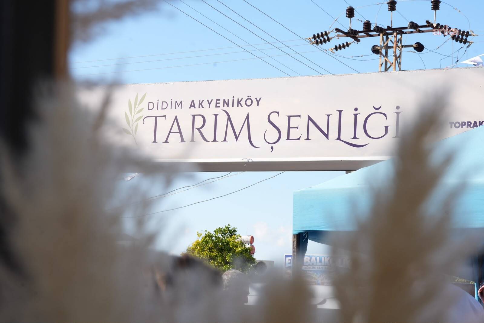 "Didim Tarım Şenliği" sona erdi... Tarım kültürü gelecek kuşaklarla buluştu
