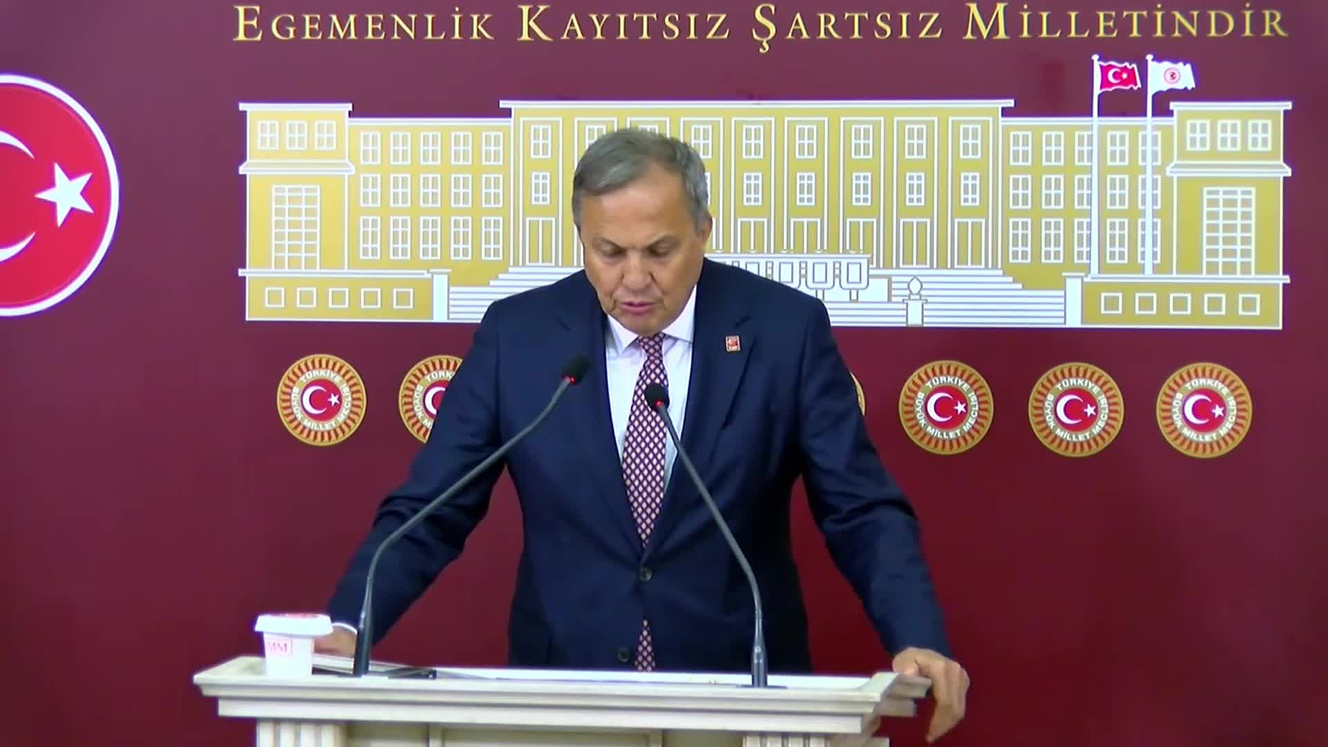 Seyit Torun: TMO, fındığın fiyatını daha aşağı çekmenin önünü açacak