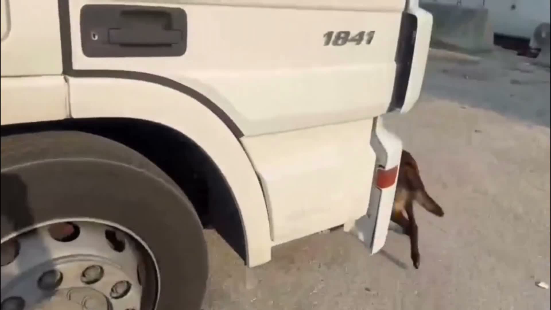 Adana’da bir otomobilde 24 kilo 600 gram uyuşturucu ele geçirildi
