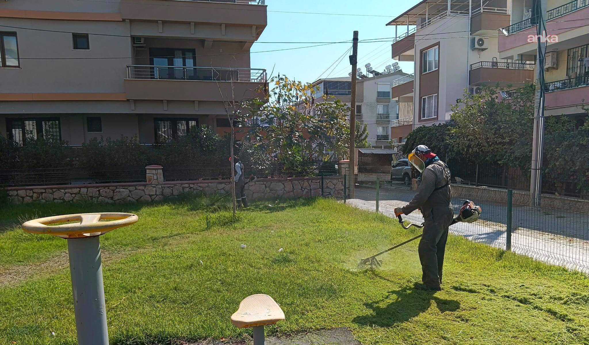 Didim Belediyesi, yeşil alanlardaki düzenleme faaliyetlerini sürdürüyor