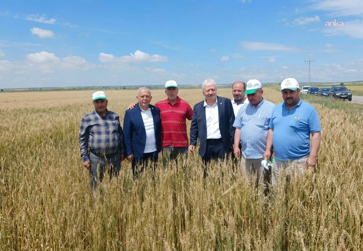 Osmaniye Ziraat Odası Başkanı Sezgin'den TMO’nun hububat alım fiyatlarına tepki: “Fiyat, çiftçilerimizin hesaplarını altüst etti”