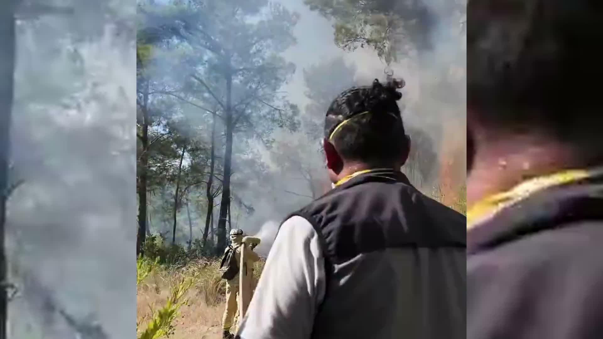 Adana ve Kayseri sınırındaki yangınların enerjisi düşürüldü, Antalya’da müdahale sürüyor