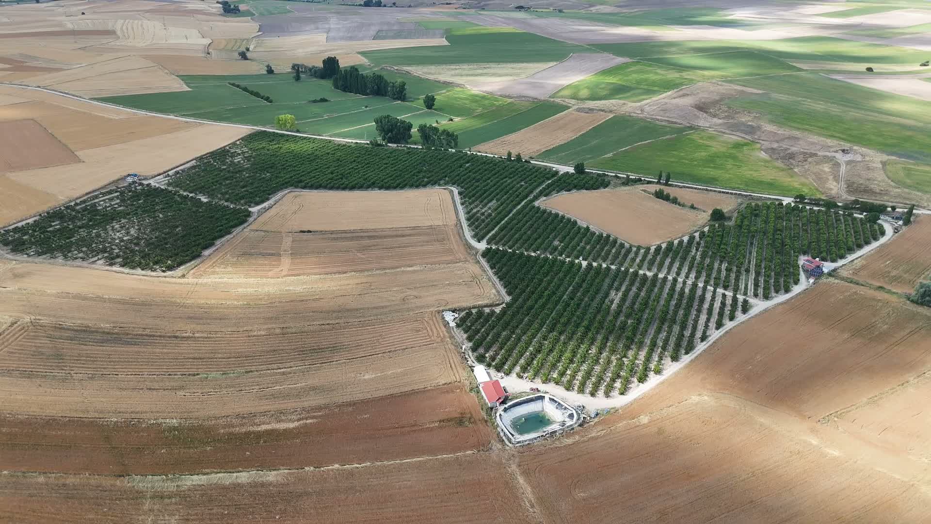 Yozgat’tan Avrupa'ya kiraz ihracatı