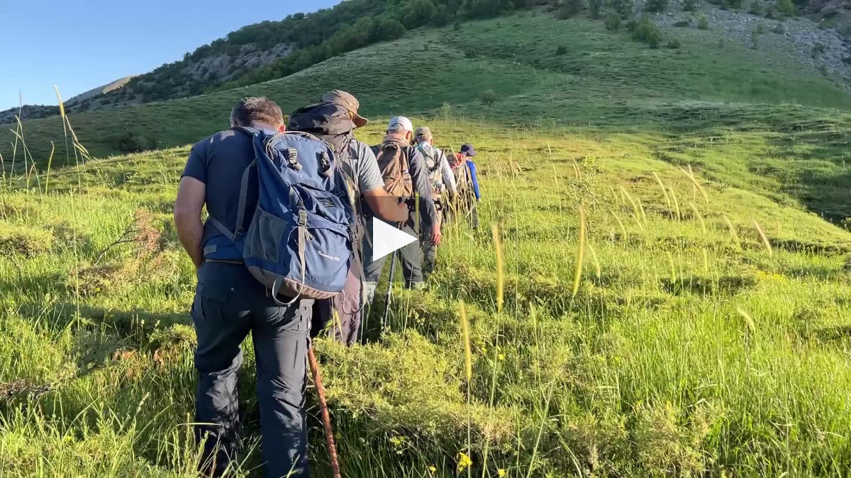 Kınkor mantarı kırmızı etten pahalı: Kilogramı 3 bin lirayı buluyor