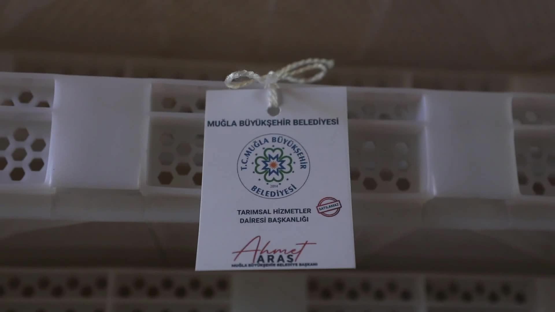 Muğla Büyükşehir Belediyesi’nden ipek böcekçiliğine güçlü destek