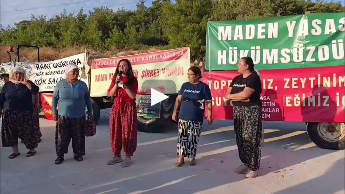 Çevre gönüllüleri ağaç kesimlerinin üçüncü yılında Akbelen'de buluştu
