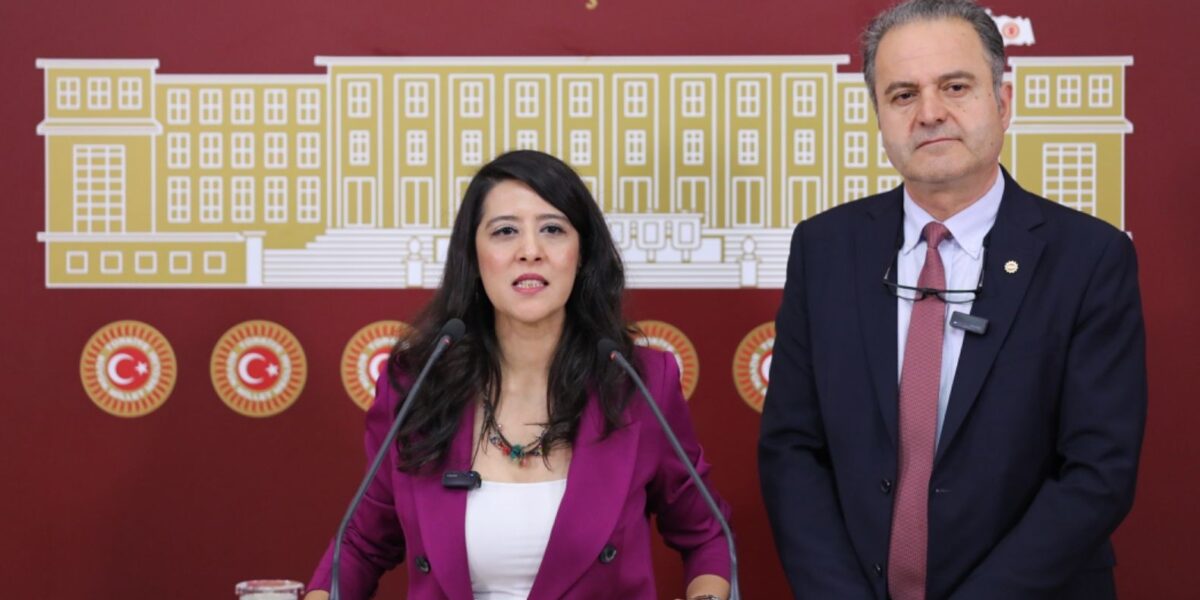 EMEP'li milletvekilleri, Deniz Göktaş'ın "Ölü Deniz" gösterisine ilişkin iddiaları TBMM gündemine taşıdı