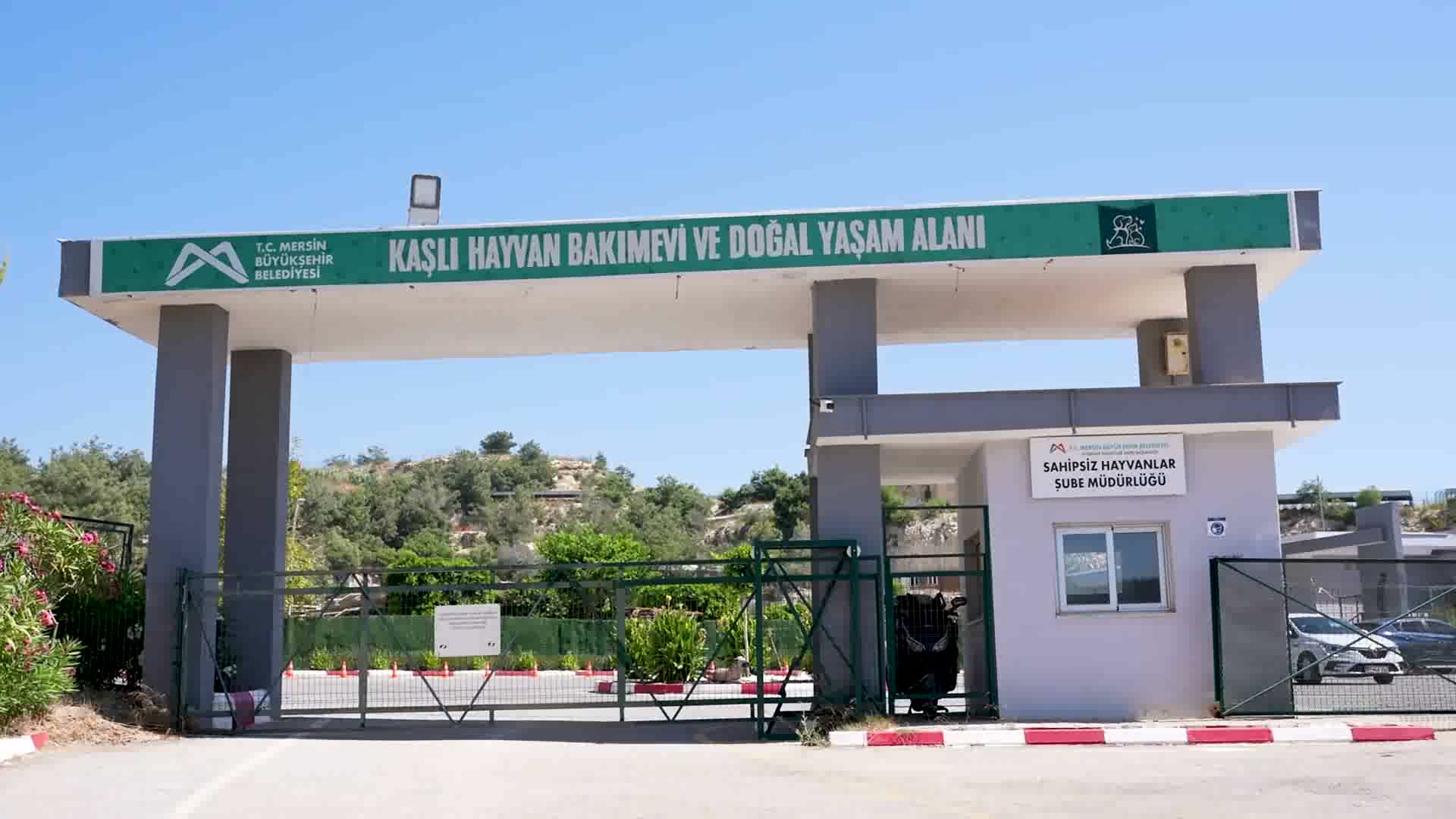Cesur, Mersin Büyükşehir Belediyesi ekipleri sayesinde hayata tutundu