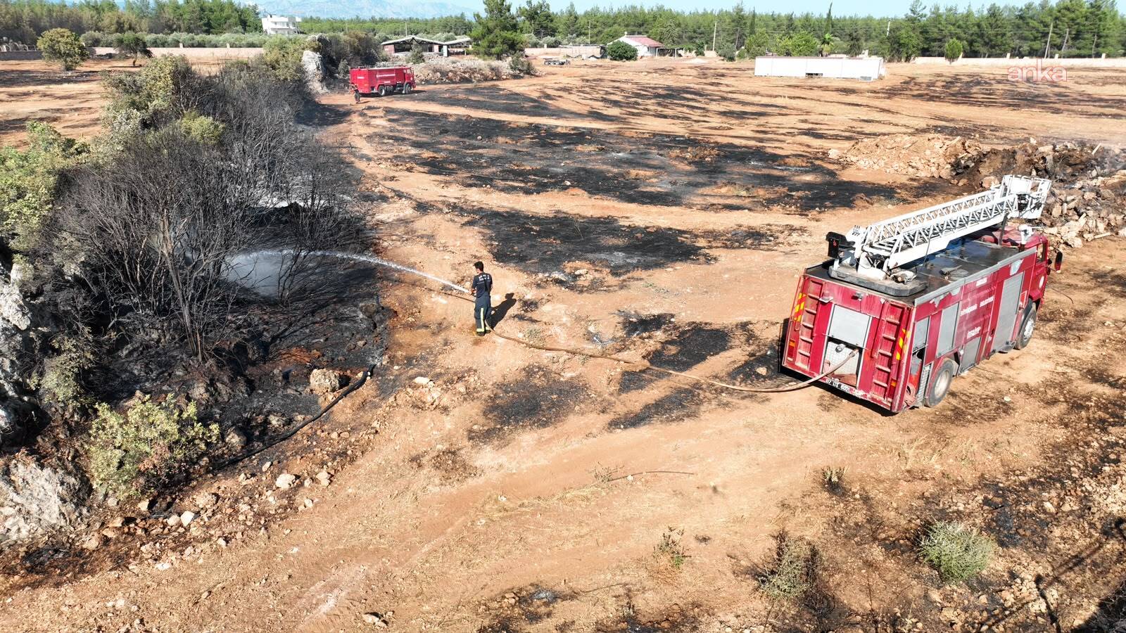 Antalya Kepez'deki orman yangını 4 saatte kontrol altına alındı