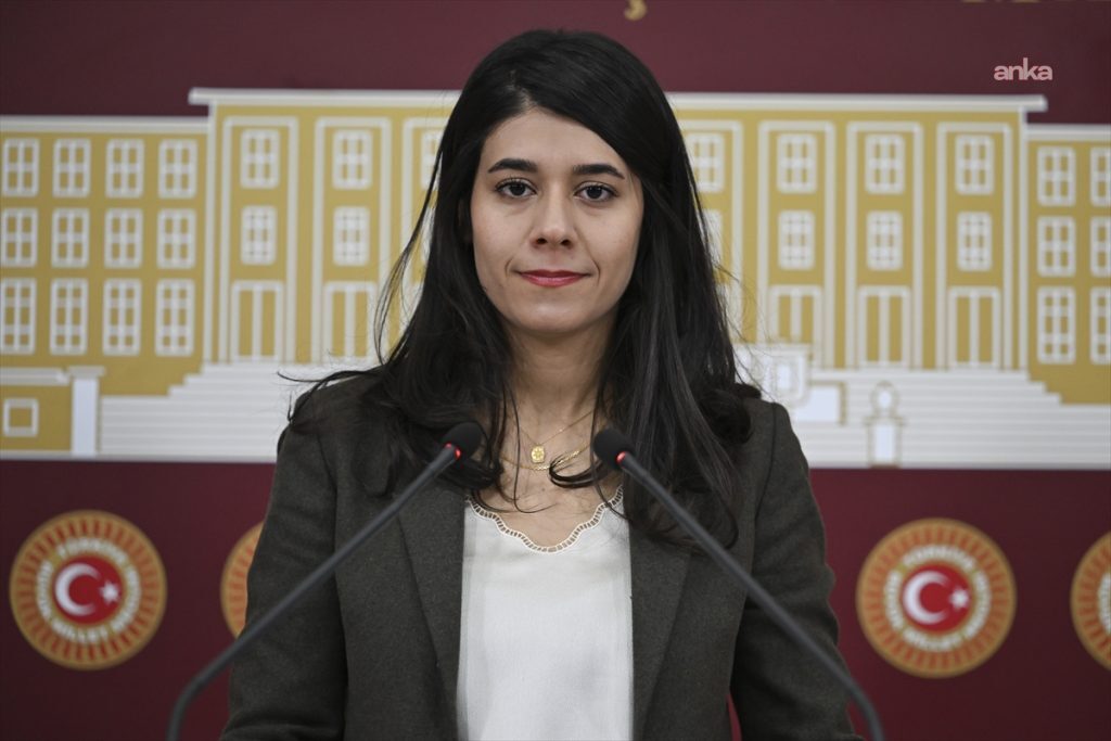 DEM Partili Güneş: DEDAŞ’ın Mardin'deki elektrik kesintileri yaşam hakkı ihlaline dönüştü