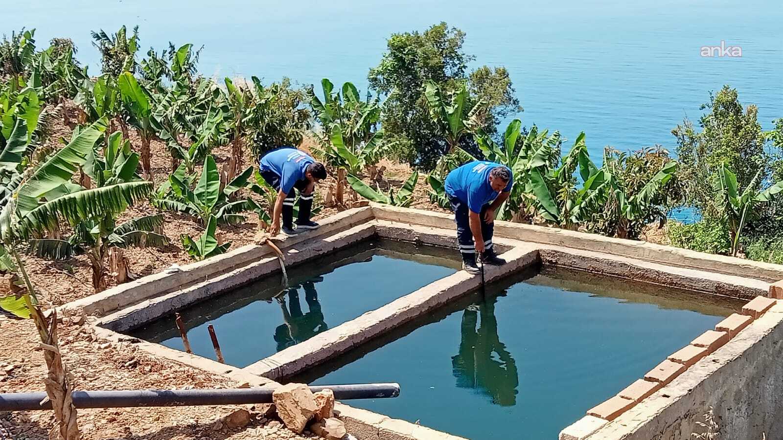 Antalya Büyükşehir Belediyesi, vektörle mücadele çalışmasını sürdürüyor