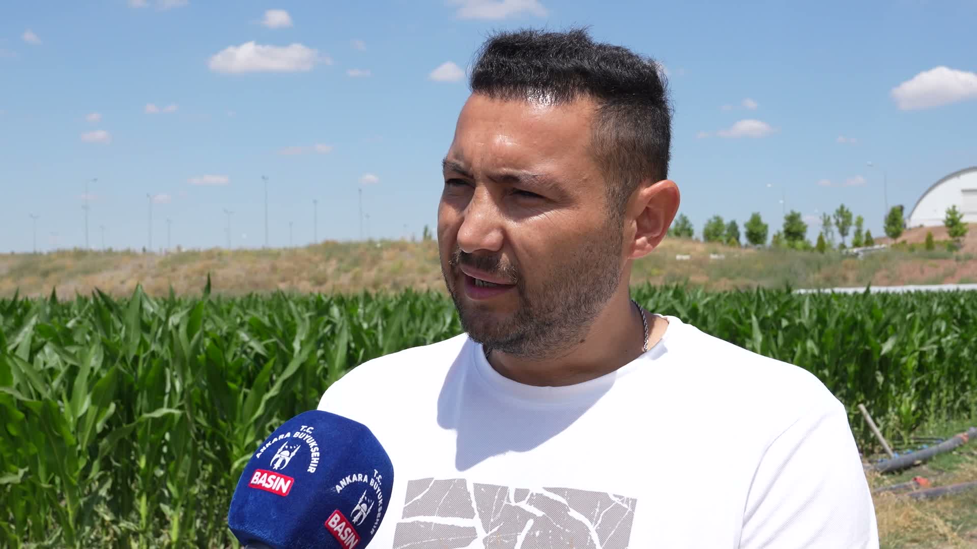 ATA Çiftliği'nde üretilen yoncalar,  Doğal Yaşam Parkı'ndaki hayvanlara yem oldu