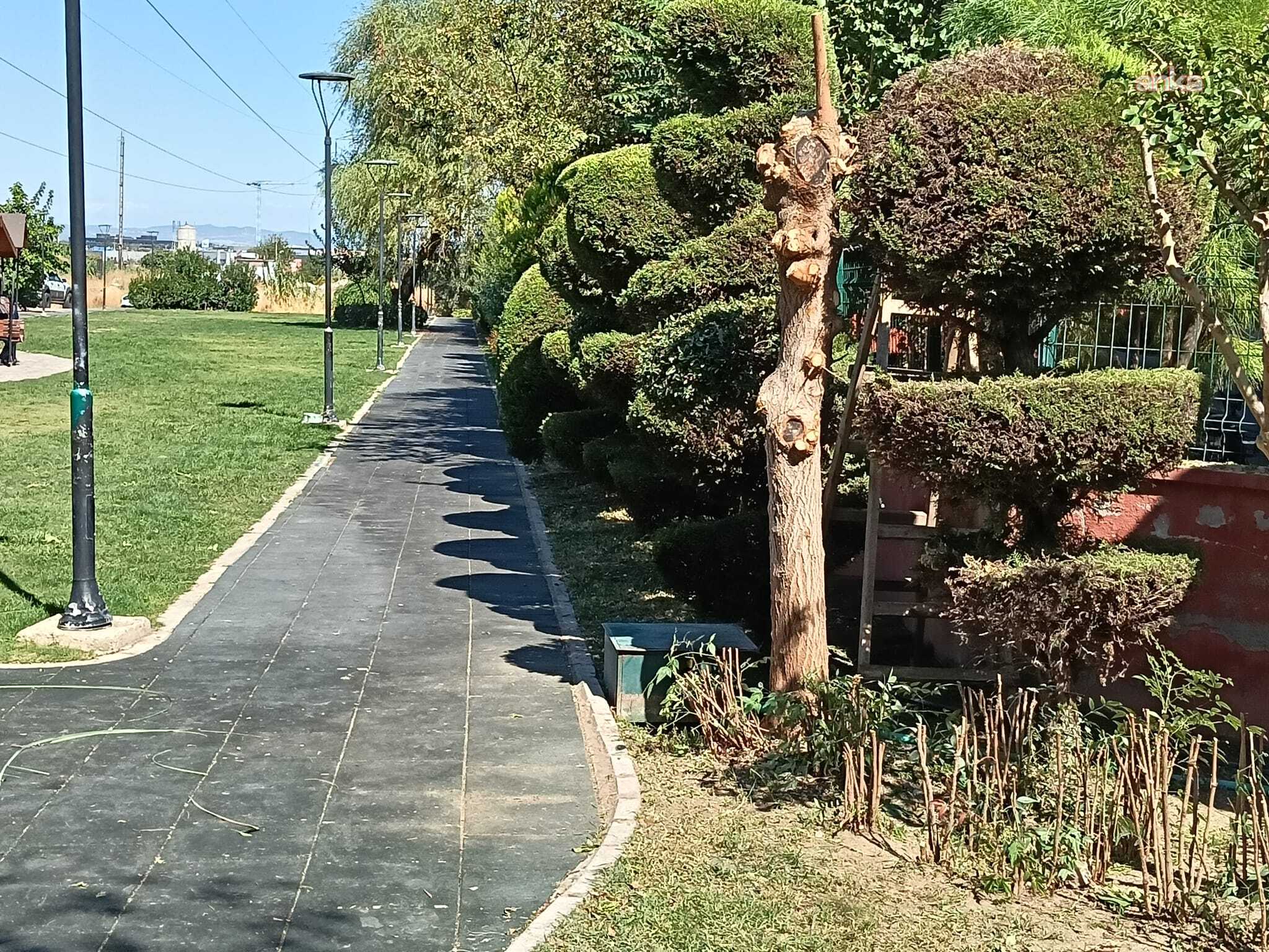 Şehzadeler Belediyesi’nden parklarda bakım ve peyzaj çalışması