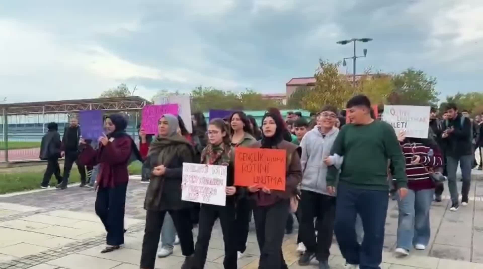 Rojin Kabaiş için Van'da yürüyüş gerçekleştirildi