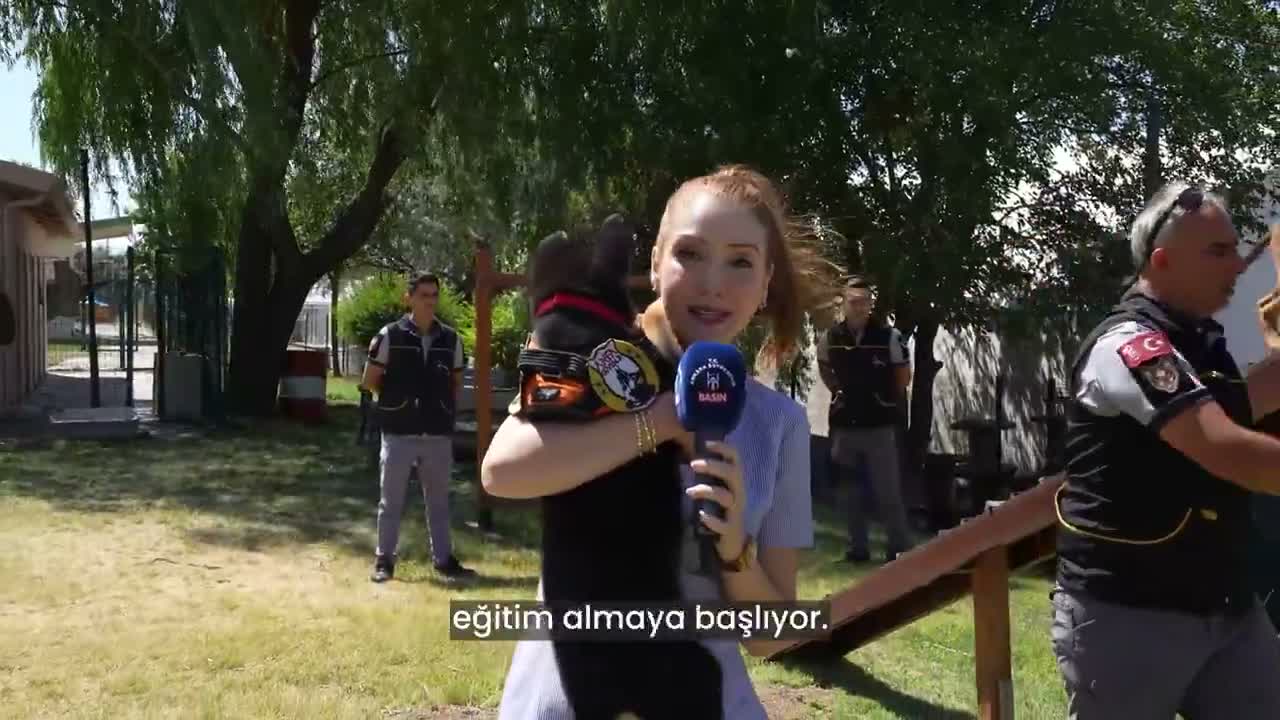 Ankara Büyükşehir Belediyesi'nin K9 ekipleri Başkent'te görev başında
