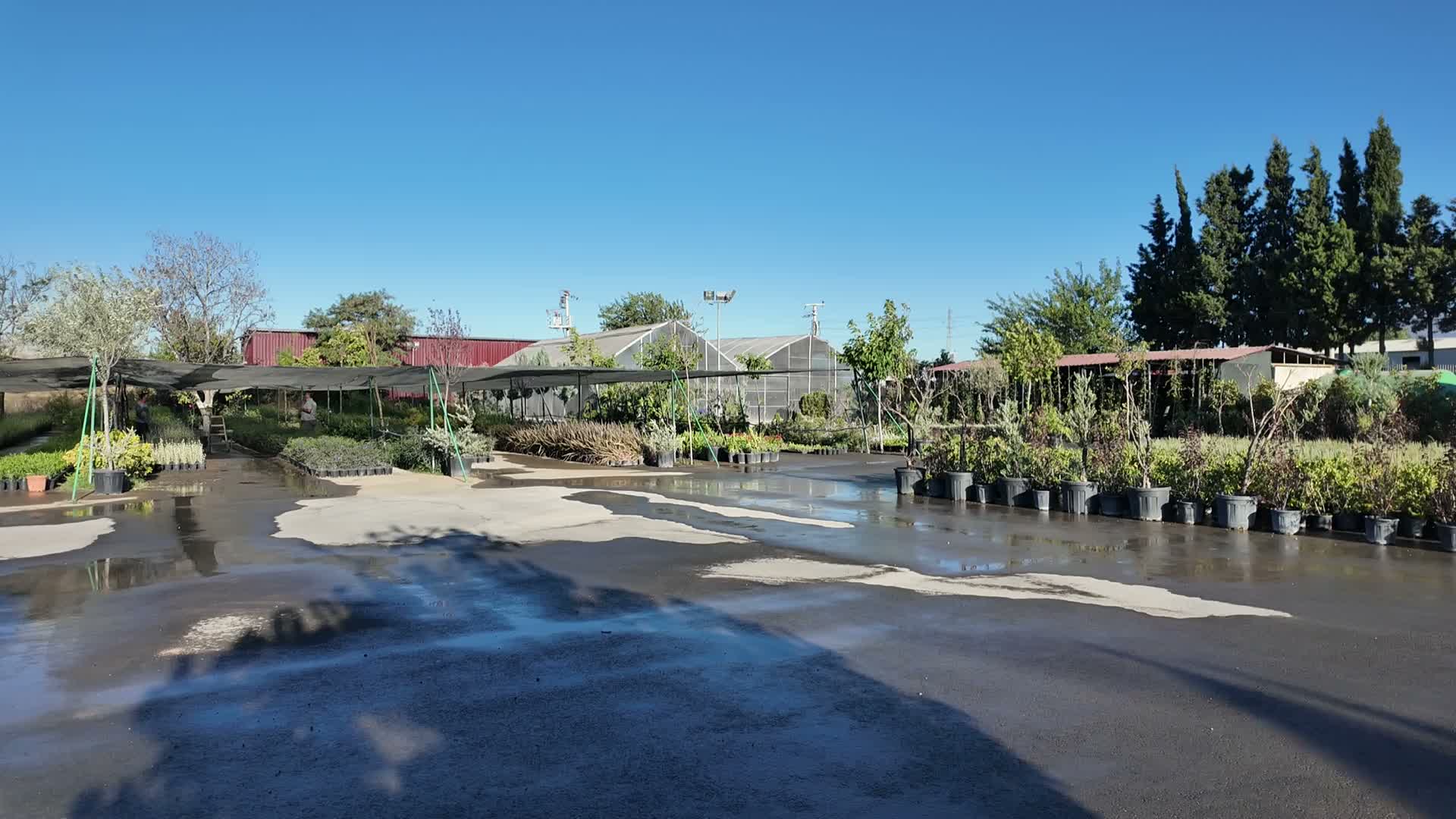 Bornova’ya 7 dönümlük proje... İzmir’in ilk lavanta parkı geliyor