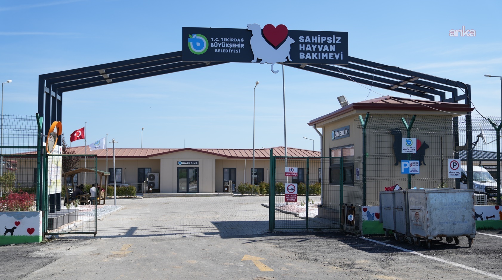 Tekirdağ Büyükşehir'den sokakta yaşayan can dostlara kapsamlı destek
