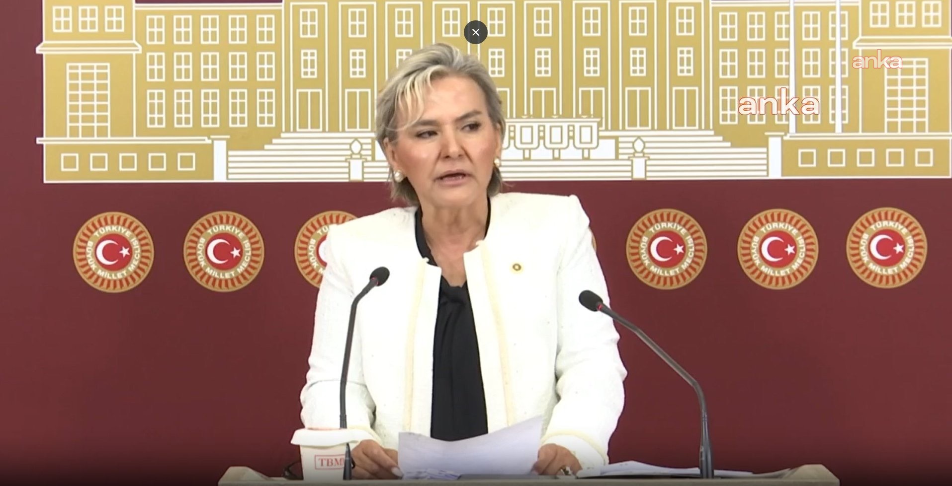 Nimet Özdemir CHP'den bir cümleyle istifa etti