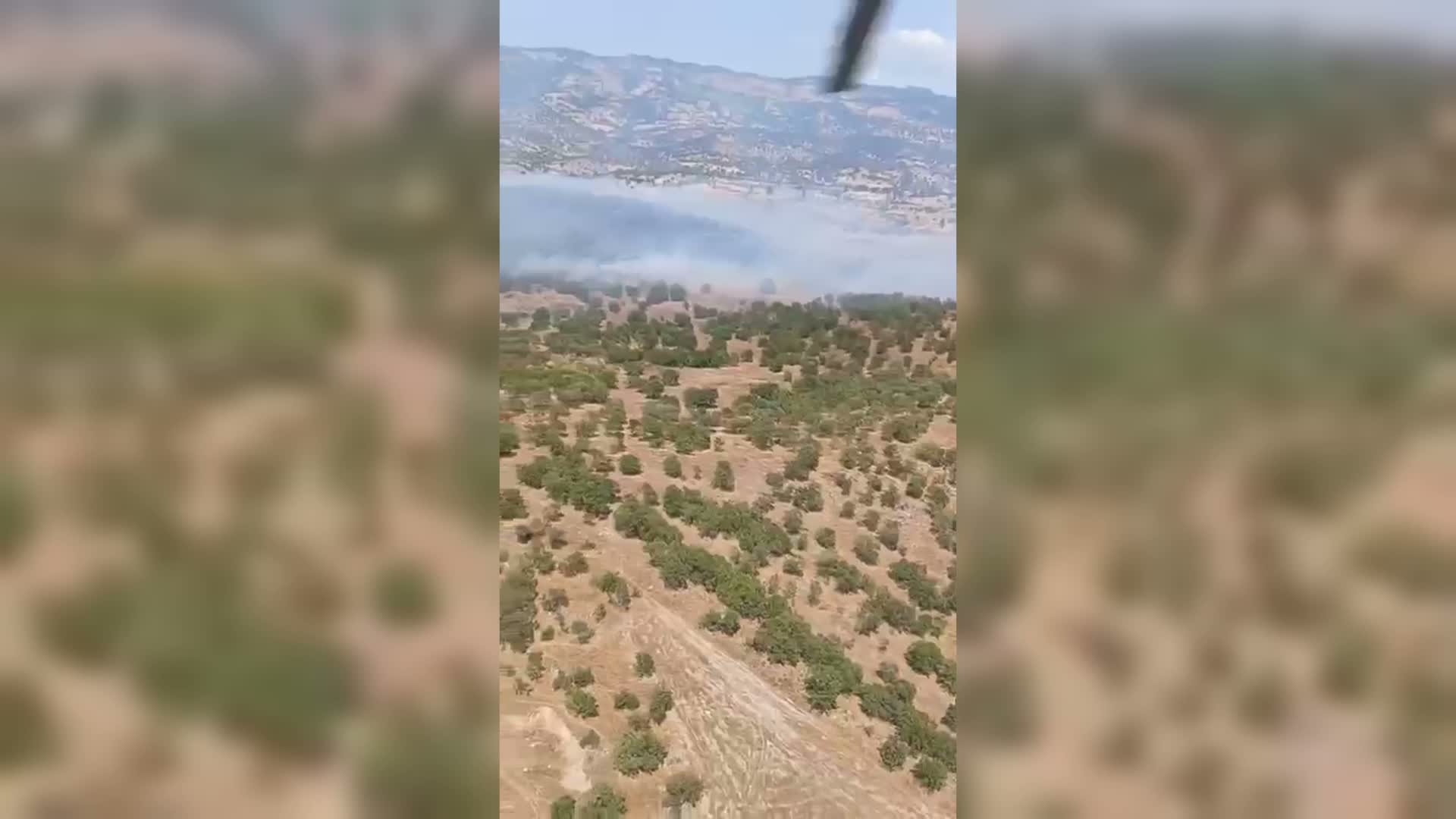 Balıkesir Sındırgı’da ormanlık alana sıçrayan yangına müdahale sürüyor