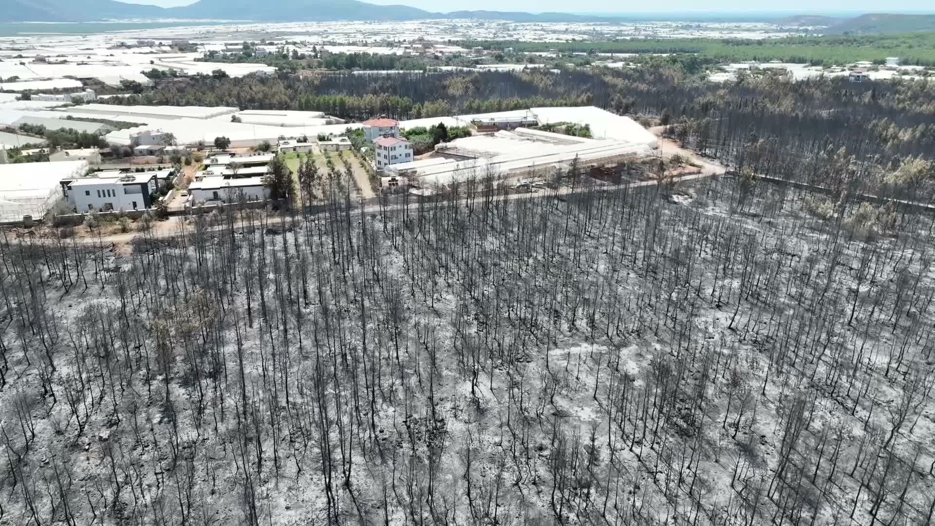 Antalya Büyükşehir Belediyesi'nden Kaş’taki orman yangınından etkilenenlere destek