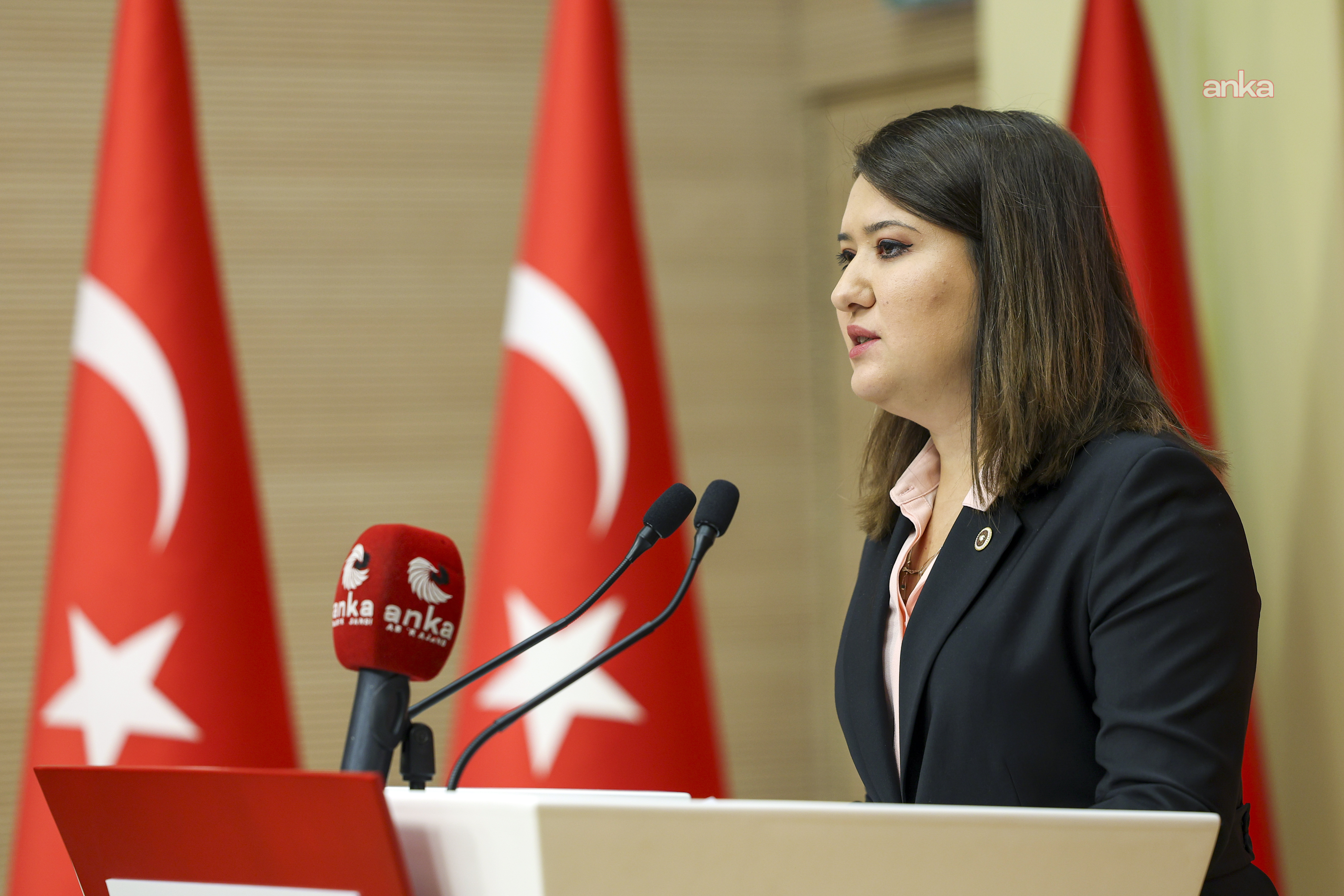 Gökçe Gökçen, Mine Özerden ve Çiğdem Mater’in cezaevi sevklerini sordu