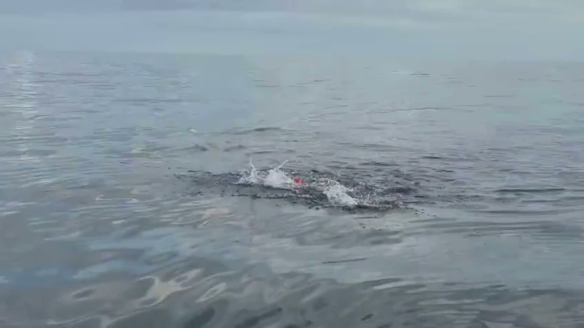 İzmirli Tuna’dan "Okyanus Yedilisi" hedefine dev bir kulaç daha