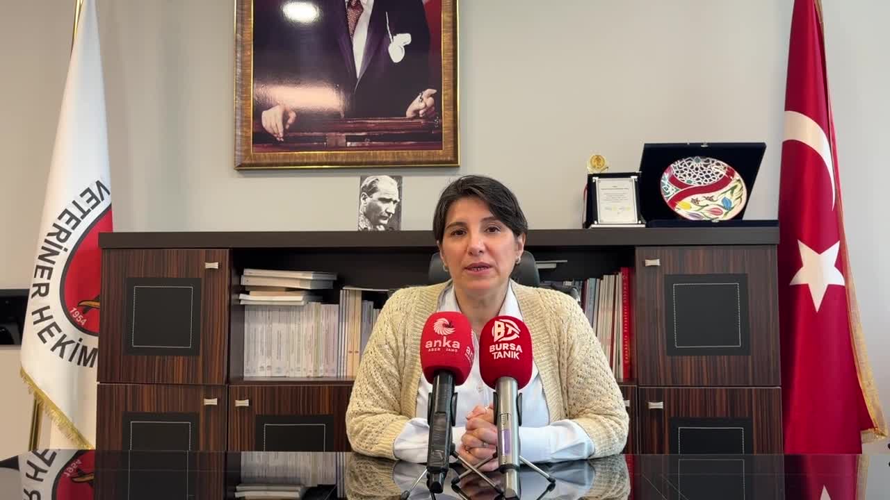 Bursa Veteriner Odası'nda "Raksharap" kuduz aşısı için "yan etki" iddiası