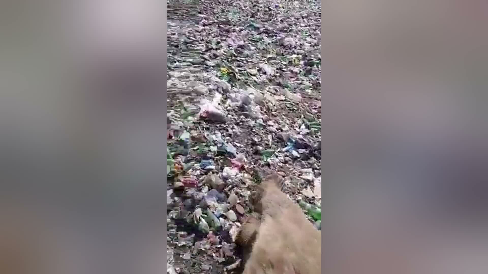 Bingöl Kiğı’da 3 bozayının öldürülmesiyle ilgili soruşturma başlatıldı