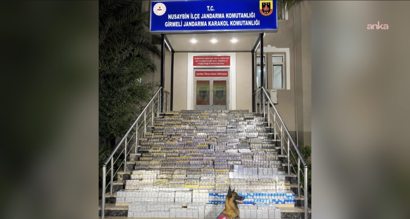 Mardin’de 18 bin 900 paket kaçak sigara ele geçirildi