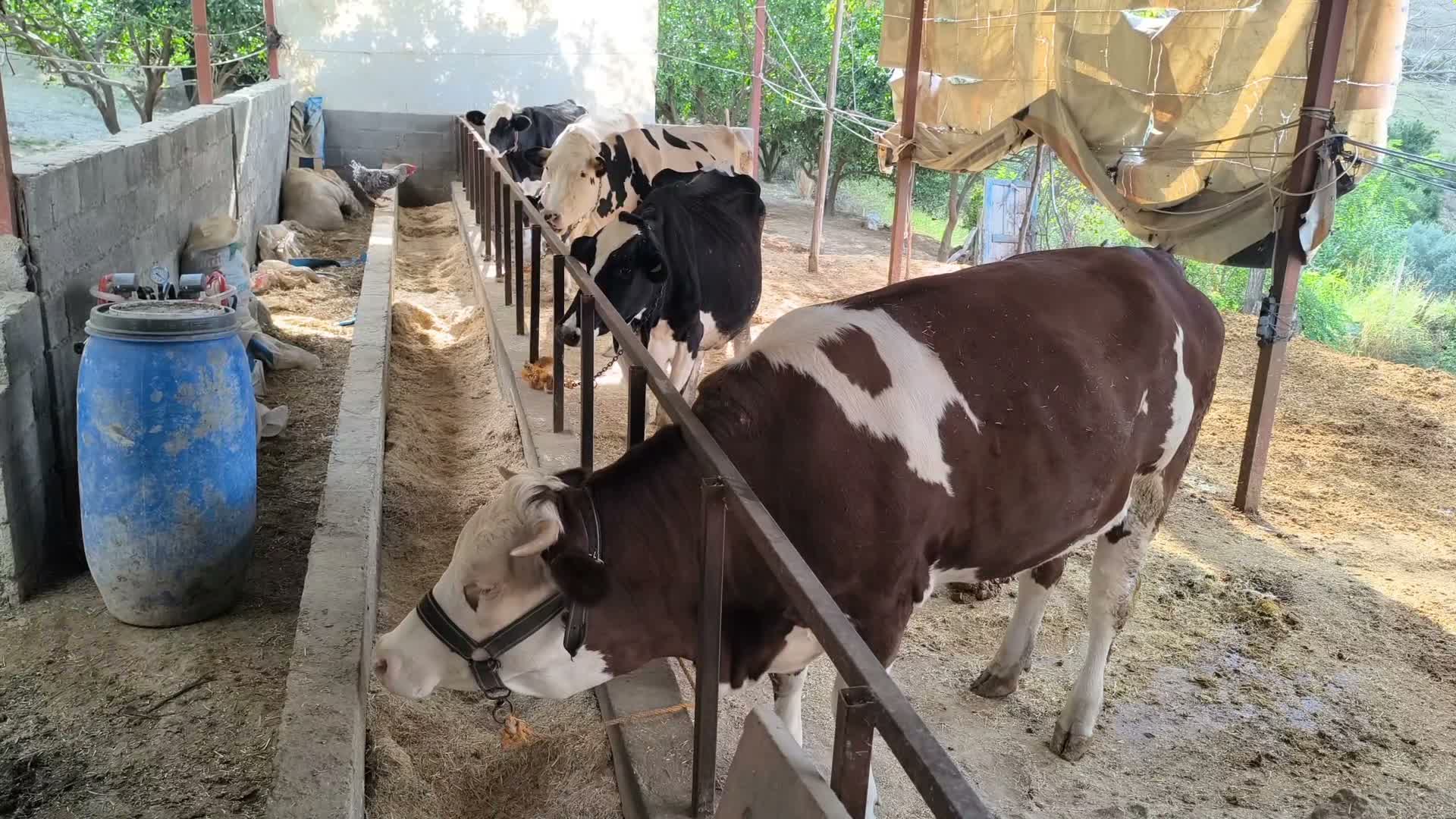 "Böyle giderse batacağız"