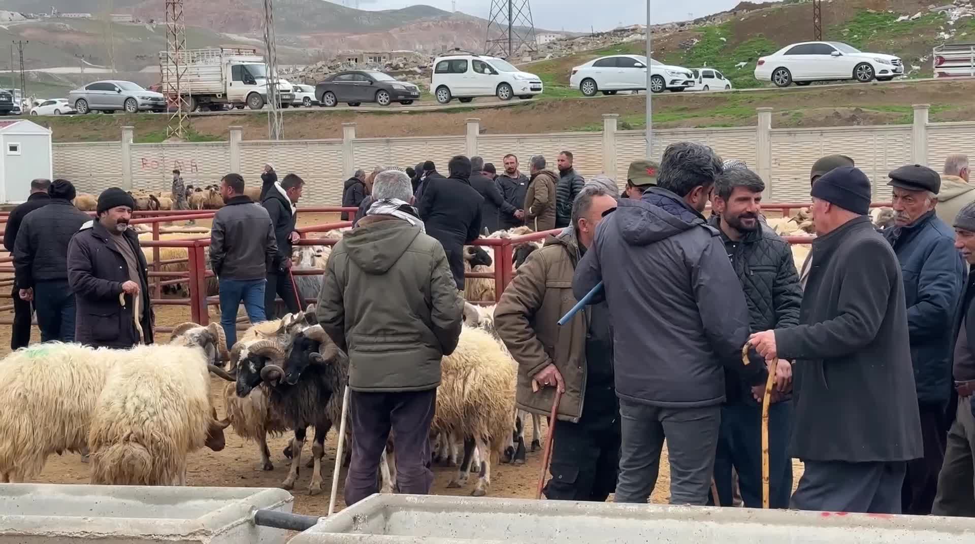 Van hayvan pazarında silahlı kavga: 1 ölü, 13 yaralı