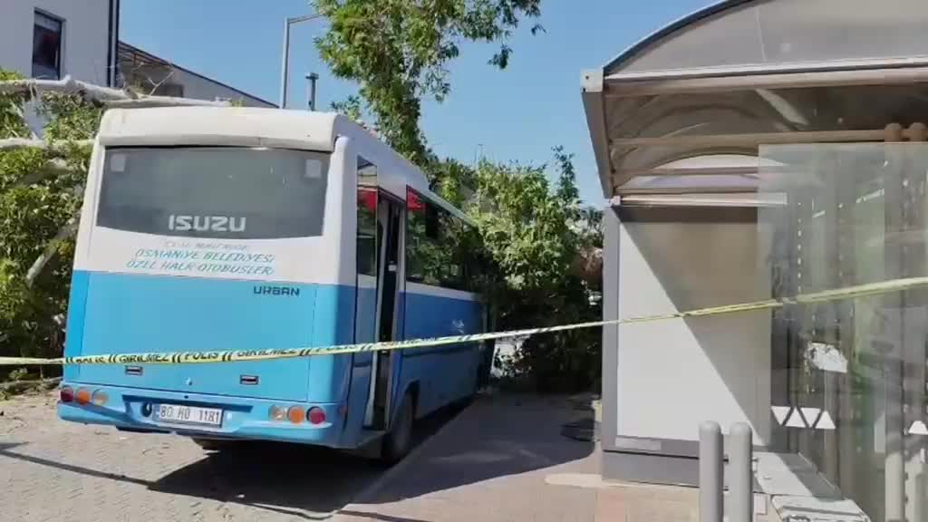 Osmaniye’de özel halk otobüsünün üzerine çınar ağacı devrildi