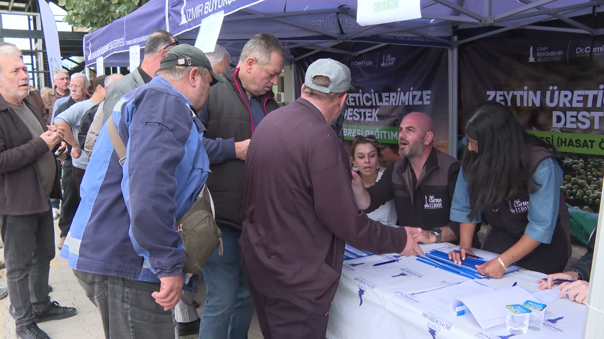 Zeytinde ortak akıl sahaya taşınıyor