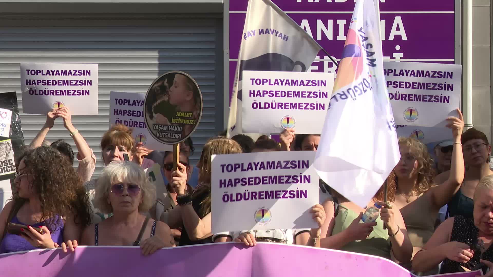 Hayvan hakları savunucuları "katliam yasası”nın kabulünün ikinci yılında eylem yaptı: Yasa iptal edilsin