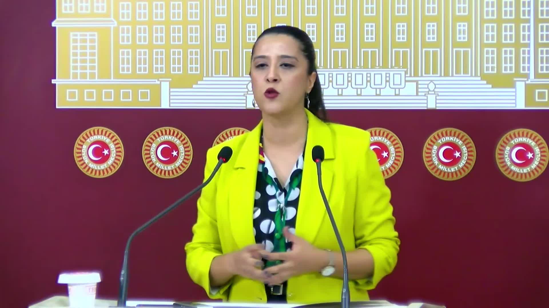 EMEP'li Karaca: "Kürt sorununun çözümü, sürekli yüksek perdeden vaatler öne sürüp hiçbir adım atmadan gerçekleşemez"