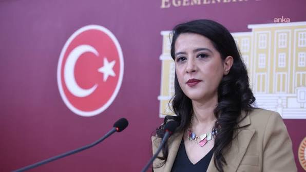 EMEP'li Karaca, gazeteci Ağırel ve Özgür'ün gözaltına alınmasını TBMM gündemine taşıdı