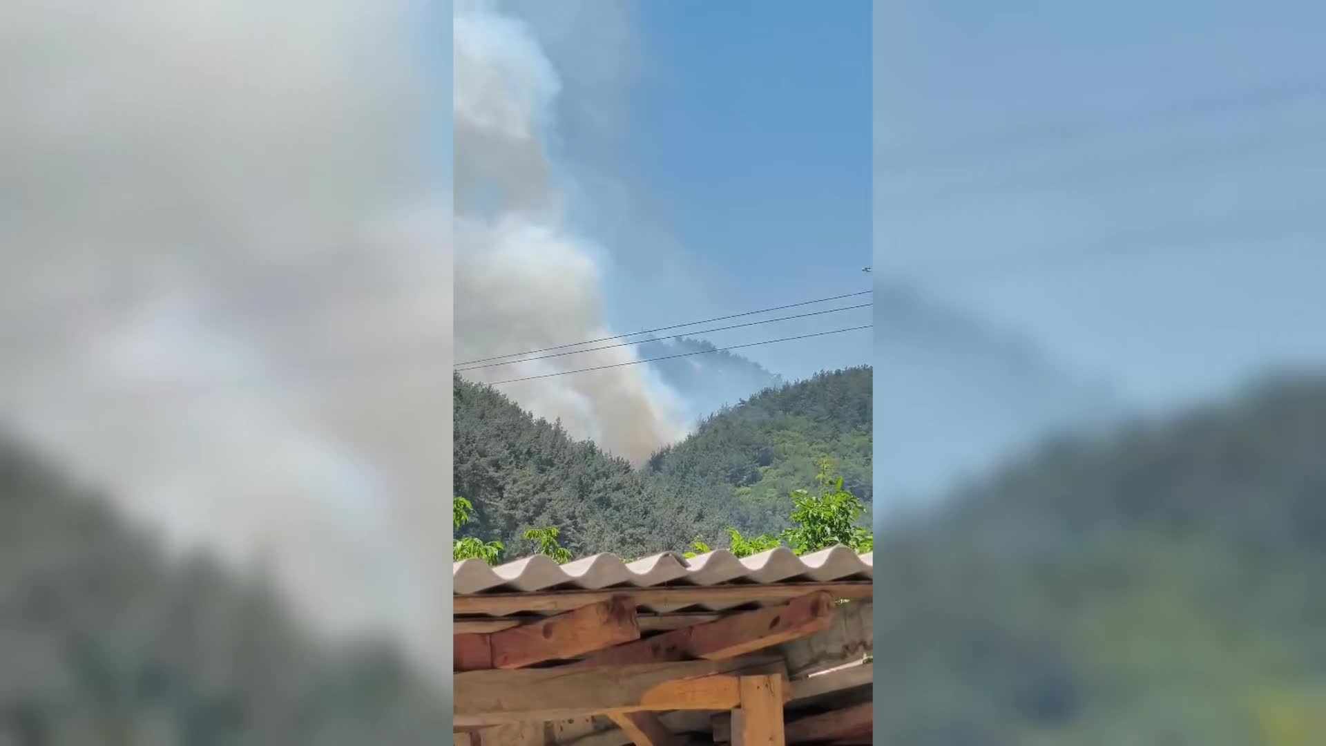 Manisa'nın Soma ilçesinde orman yangını